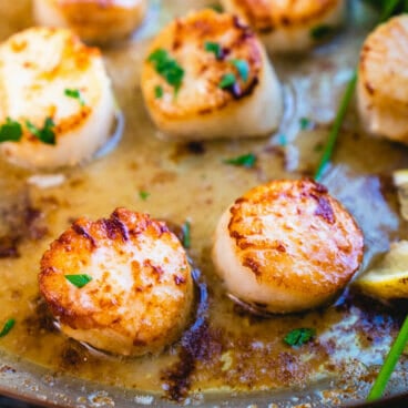 Pan seared scallops